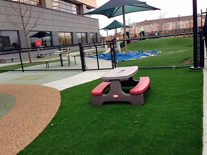 Faux Grass Anza, California Lacrosse Playground, Above Ground Swimming Pool