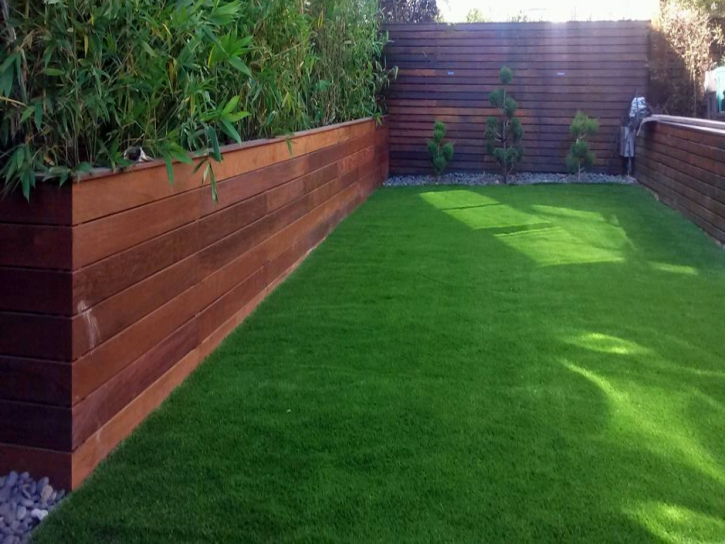 Faux Grass Hemet, California Backyard Playground, Backyard Landscape Ideas