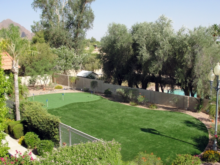 Faux Grass Norco, California Outdoor Putting Green, Small Backyard Ideas