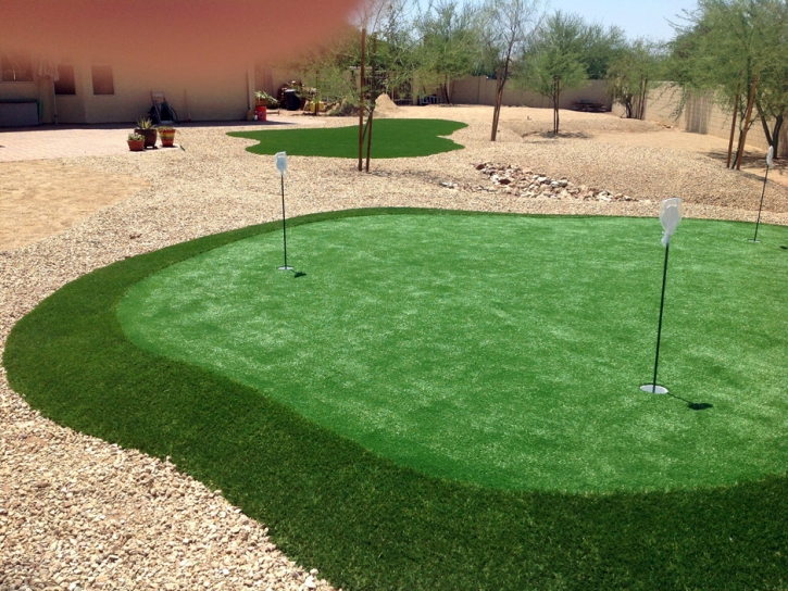 Faux Grass Thousand Palms, California Diy Putting Green, Backyard Design