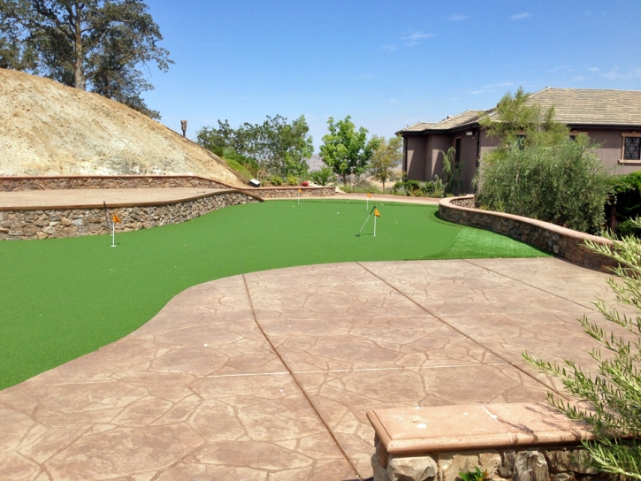 Grass Carpet Anza, California Office Putting Green, Backyard Landscaping Ideas