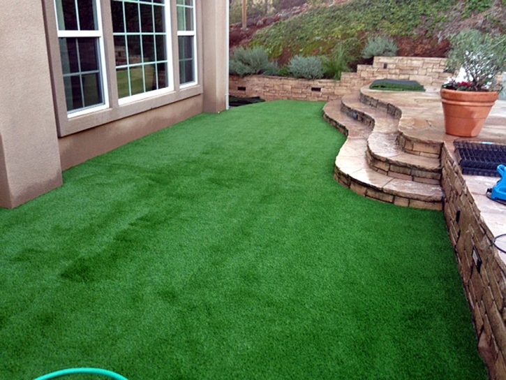 Grass Carpet Banning, California Landscape Ideas, Small Backyard Ideas