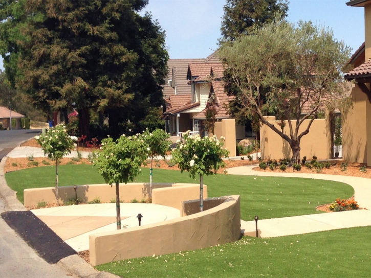 Grass Carpet Calimesa, California Landscape Photos, Small Front Yard Landscaping