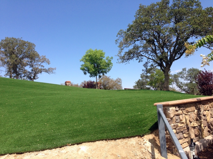 Grass Carpet Coachella, California Landscape Photos, Small Front Yard Landscaping