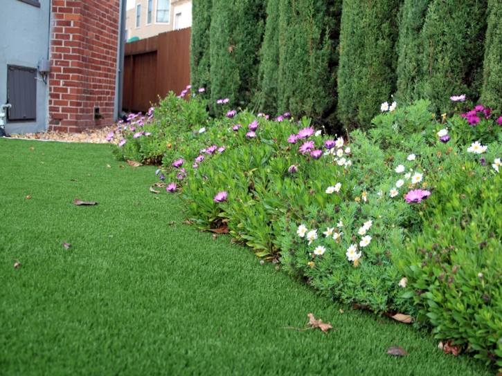 Grass Carpet Menifee, California Roof Top, Front Yard Ideas