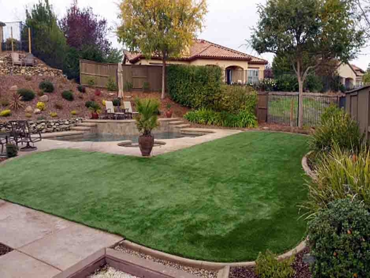 Grass Carpet Nuevo, California Landscape Ideas, Backyard Makeover