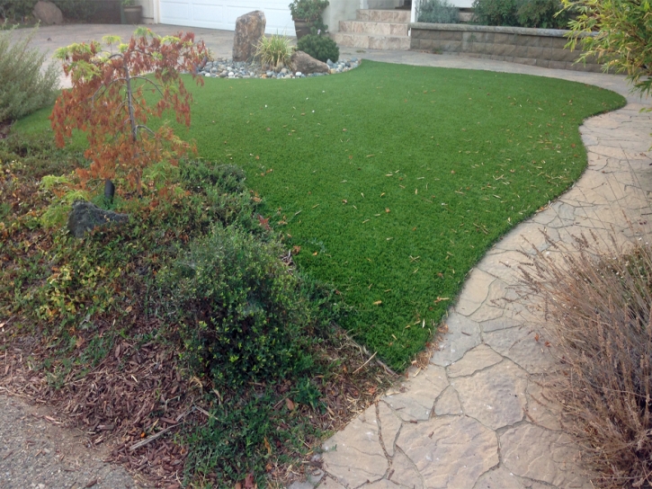 Grass Carpet Temecula, California Pet Grass, Small Backyard Ideas