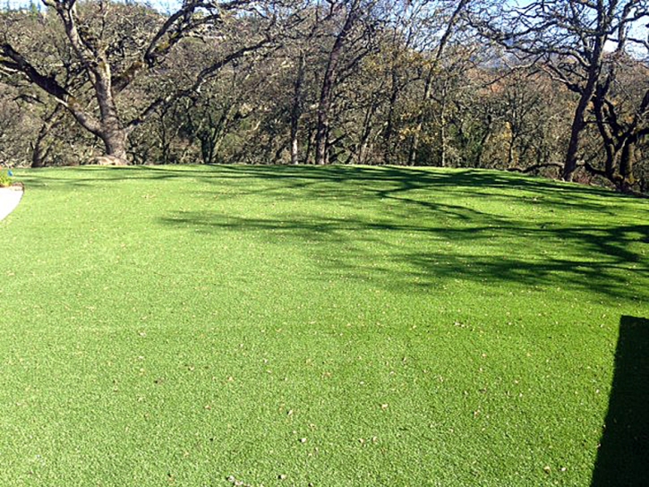 Grass Installation La Quinta, California Home And Garden, Recreational Areas