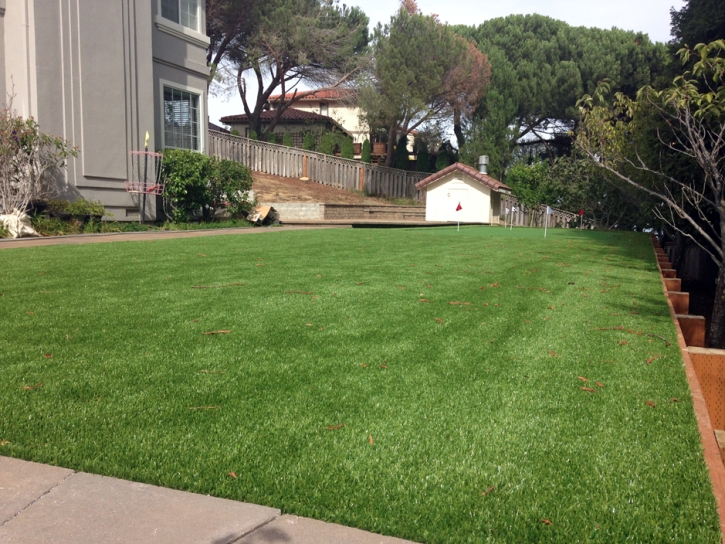 Grass Installation Ripley, California Landscape Ideas, Backyard Design