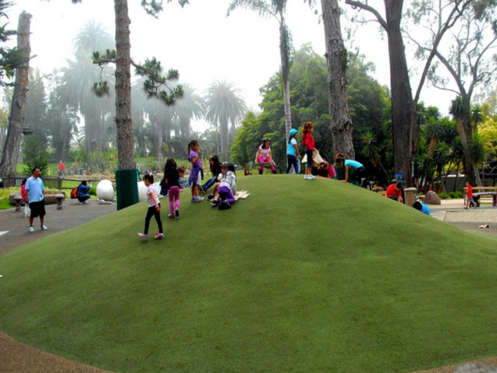 Grass Turf Idyllwild-Pine Cove, California Landscaping, Recreational Areas