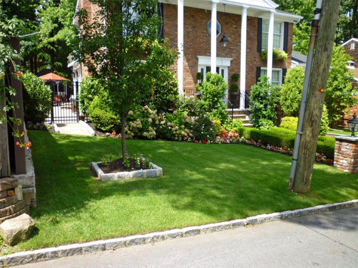 Grass Turf Mecca, California Roof Top, Front Yard