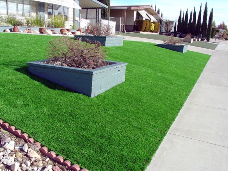 Green Lawn Pedley, California Landscape Ideas, Front Yard Landscape Ideas