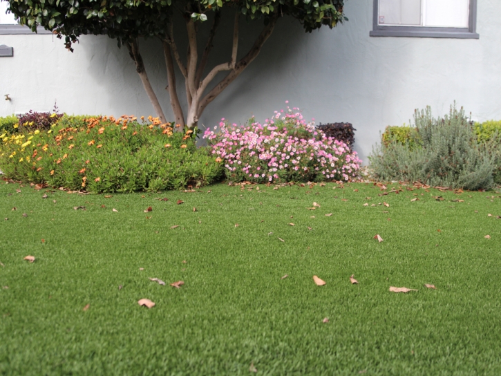 Green Lawn Perris, California Landscape Ideas, Front Yard