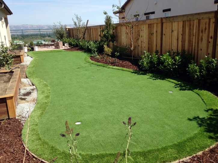 Green Lawn Ripley, California Roof Top, Backyard Garden Ideas