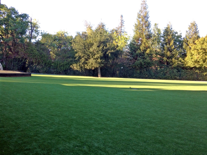 How To Install Artificial Grass Vista Santa Rosa, California Gardeners, Parks