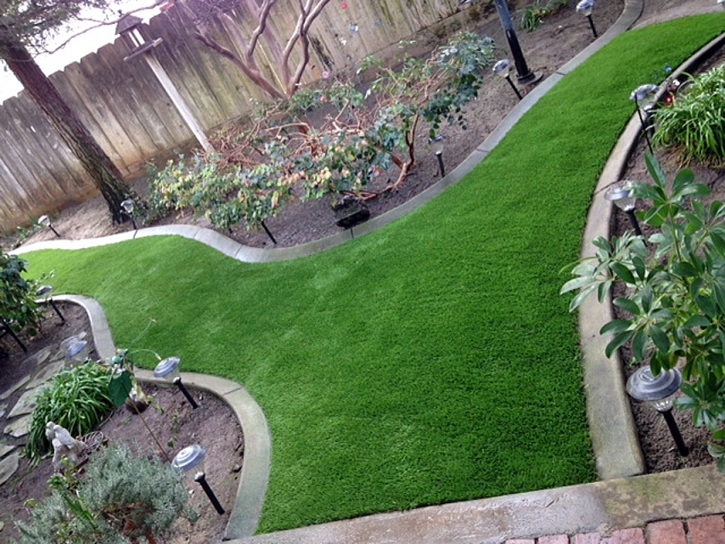 Installing Artificial Grass Vista Santa Rosa, California Landscaping Business, Small Backyard Ideas