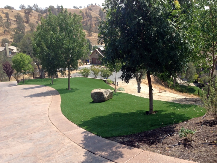 Outdoor Carpet Alpine Village, California Backyard Deck Ideas, Front Yard Design