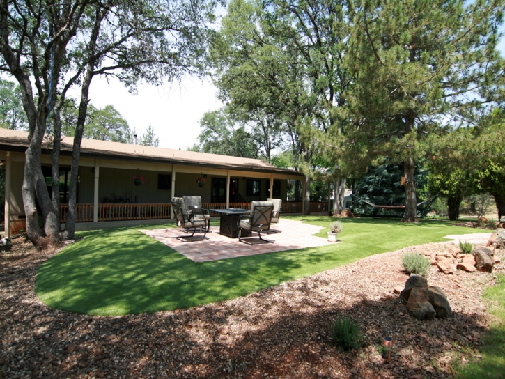 Outdoor Carpet Desert Center, California Lawn And Landscape, Backyards