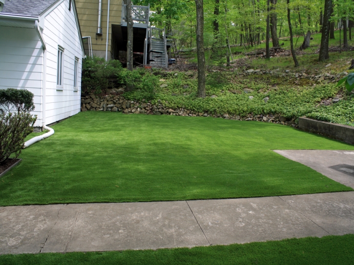 Outdoor Carpet Homeland, California Gardeners, Front Yard Landscaping