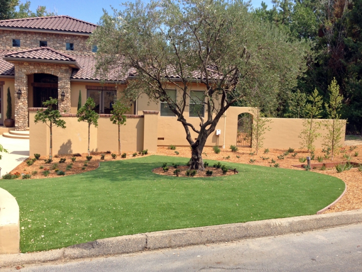 Plastic Grass Bermuda Dunes, California Landscaping, Front Yard Ideas