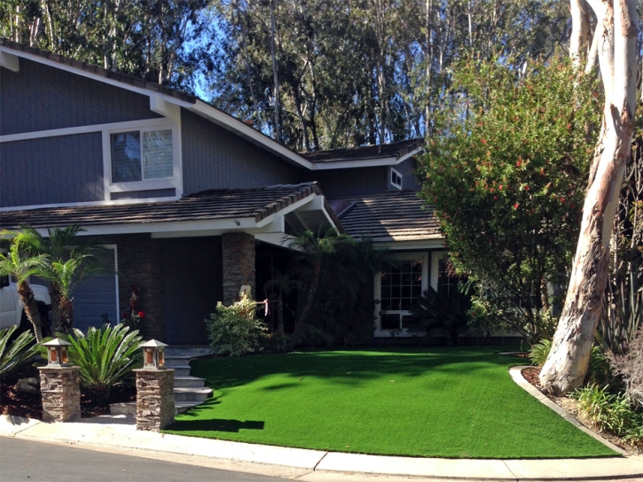 Plastic Grass Hemet, California Home And Garden, Front Yard Design