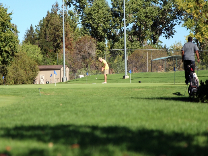 Plastic Grass Lakeland Village, California Diy Putting Green, Commercial Landscape