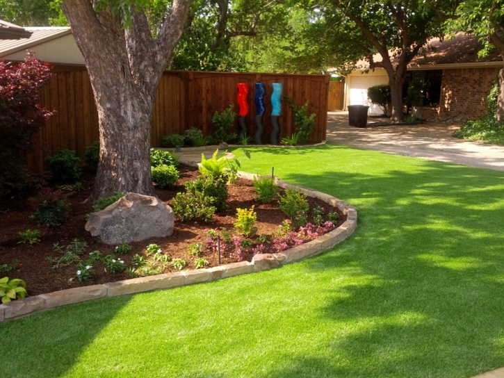 Plastic Grass Lakeview, California Rooftop, Backyard Landscaping Ideas