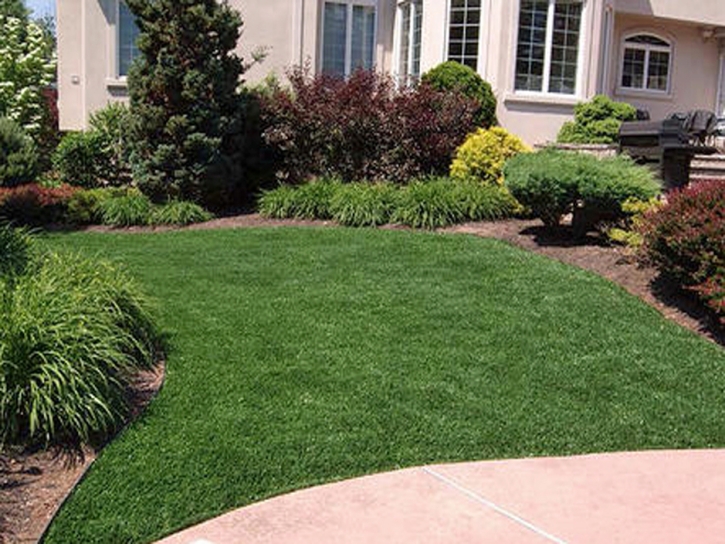 Plastic Grass Quail Valley, California Landscape Ideas, Front Yard