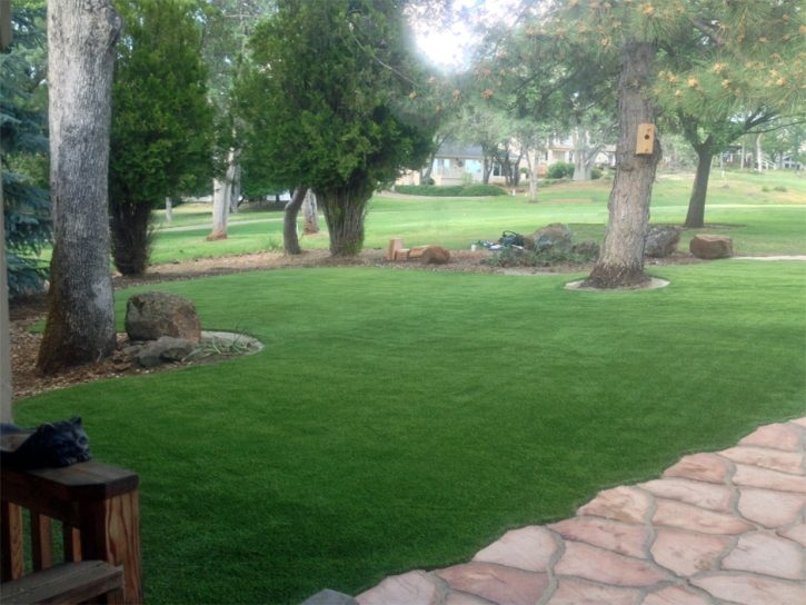 Plastic Grass Woodcrest, California Landscape Rock, Front Yard Landscaping Ideas