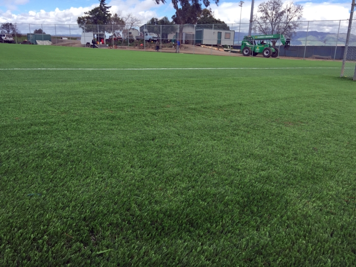 Synthetic Grass Bermuda Dunes, California Sports Turf