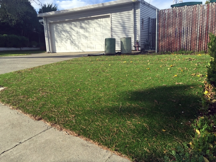 Synthetic Grass Cabazon, California Roof Top, Front Yard Ideas