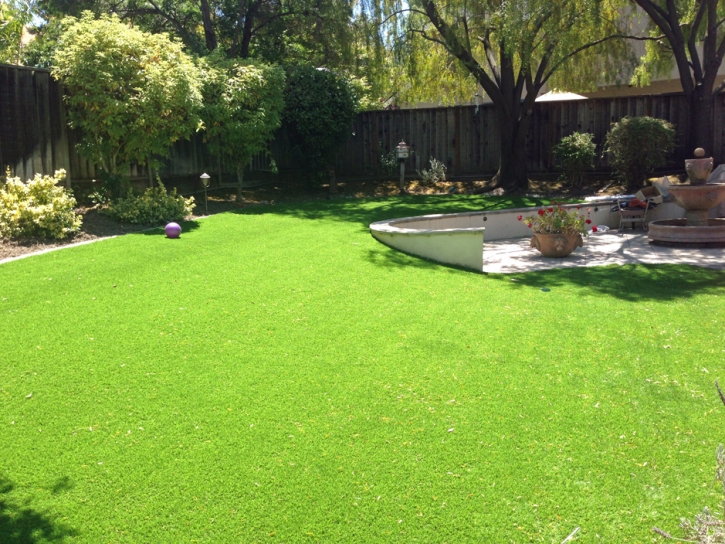 Synthetic Grass Calimesa, California Landscape Photos, Backyard Landscaping