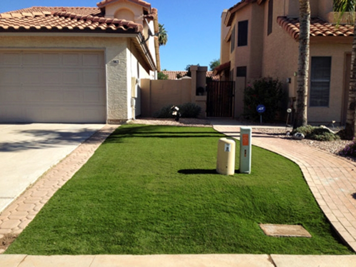 Synthetic Grass Cost Canyon Lake, California Backyard Playground, Front Yard Landscape Ideas