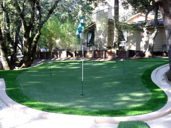 Synthetic Grass Cost Norco, California Golf Green, Backyard