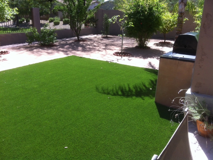 Synthetic Grass El Cerrito, California Cat Grass, Backyard Landscaping