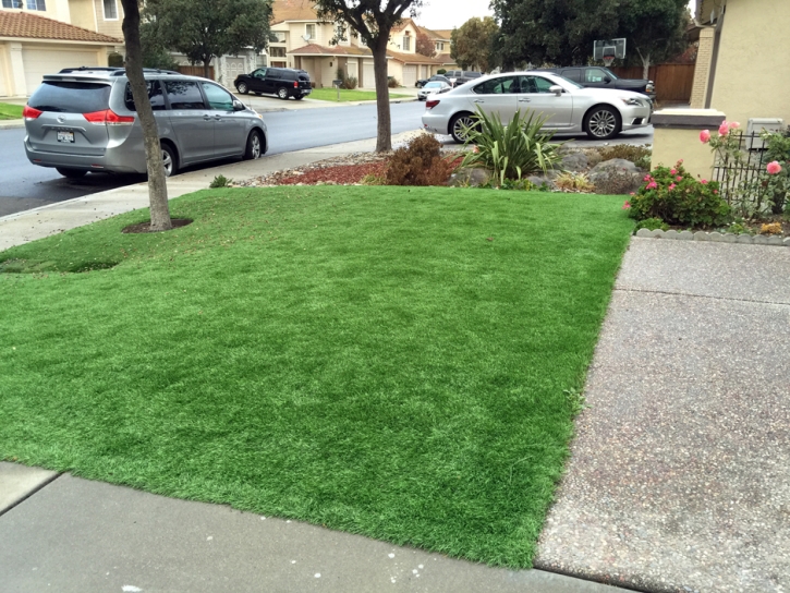 Synthetic Grass Garnet, California Design Ideas, Front Yard Landscaping