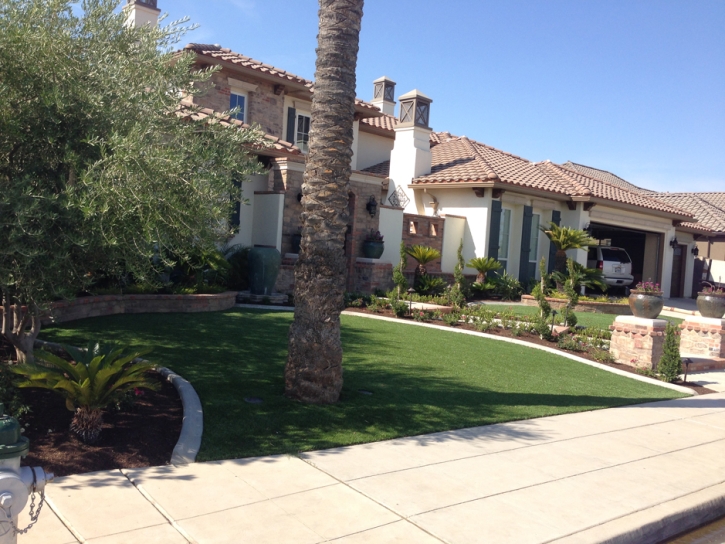 Synthetic Grass Lake Elsinore, California Lawn And Garden, Small Front Yard Landscaping