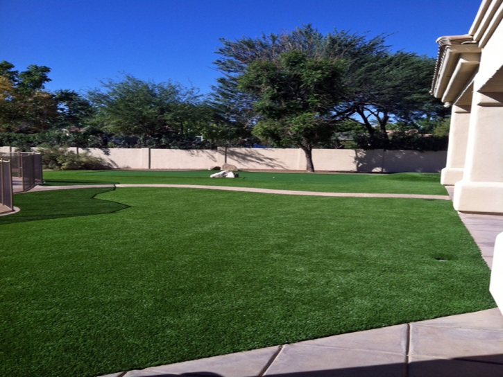 Synthetic Grass Mesa Verde, California Landscape Photos, Landscaping Ideas For Front Yard