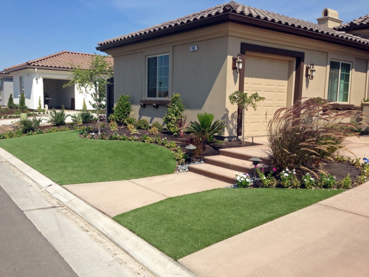 Synthetic Grass Ripley, California Landscaping Business, Front Yard Ideas