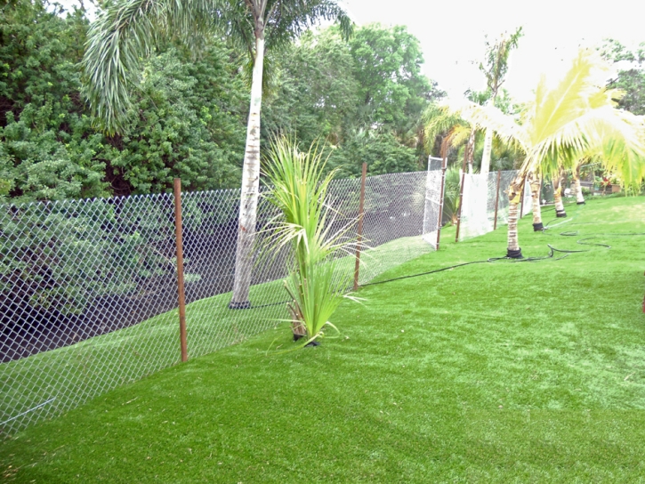 Synthetic Grass Winchester, California Gardeners, Small Backyard Ideas