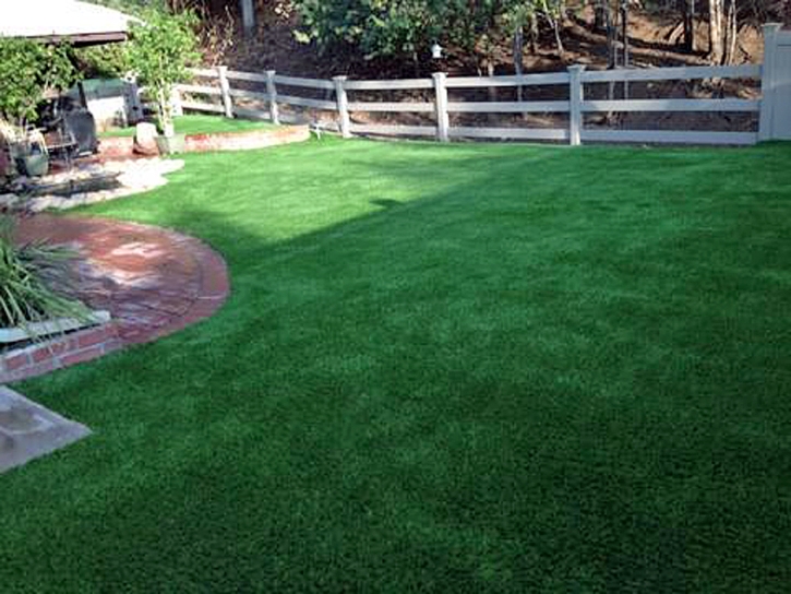 Synthetic Lawn Aguanga, California Landscaping, Backyard Makeover