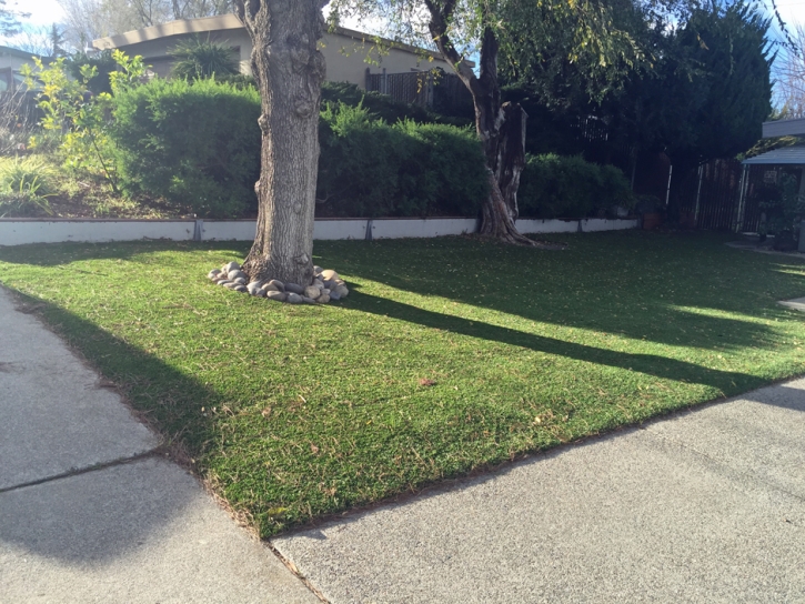 Synthetic Lawn Desert Edge, California Lawn And Landscape, Front Yard Landscape Ideas