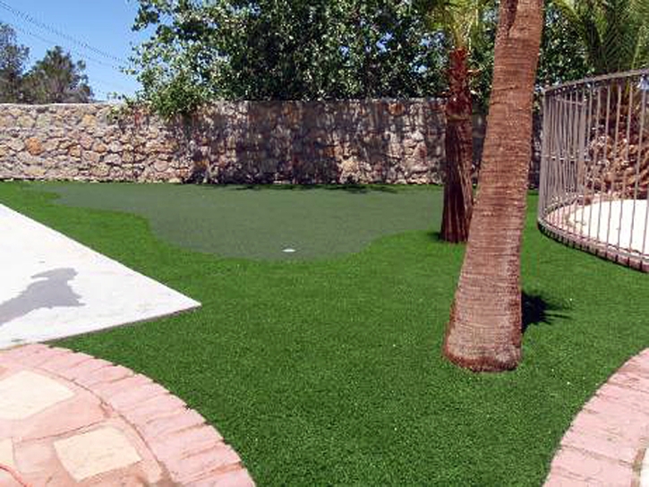 Synthetic Lawn March Air Force Base, California Home Putting Green, Backyard Designs