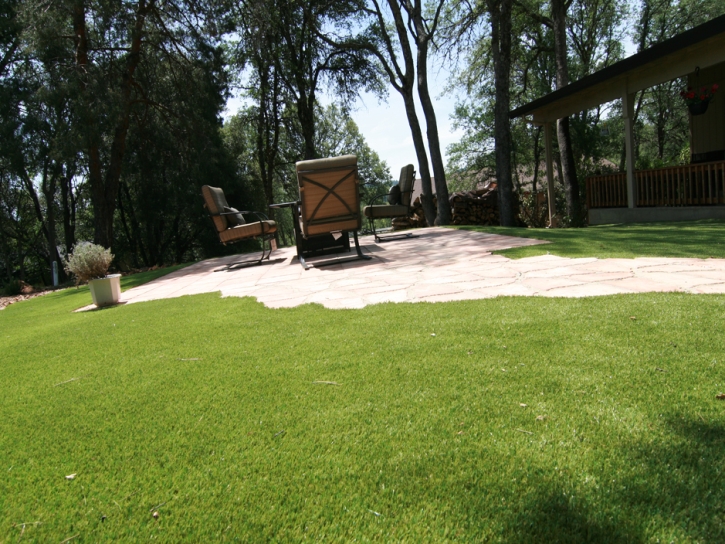 Synthetic Lawn Mead Valley, California Home And Garden, Backyard Landscaping