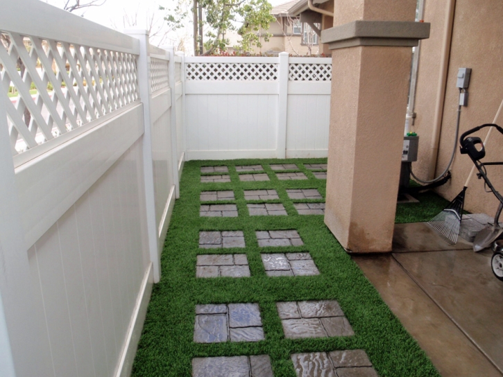 Synthetic Lawn Ripley, California Landscape Design, Backyards