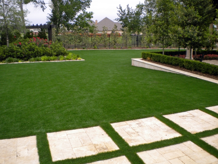 Synthetic Lawn Temecula, California Lawns, Backyard Landscaping