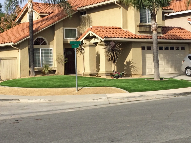 Synthetic Turf March Air Force Base, California Garden Ideas, Front Yard Landscape Ideas