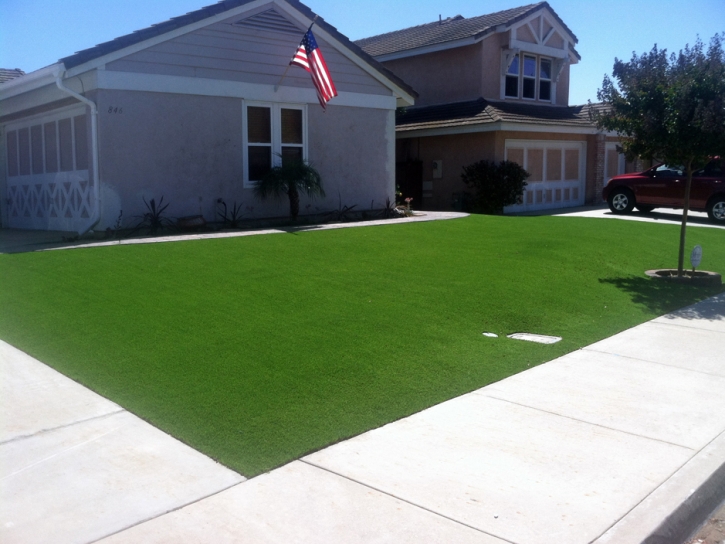 Synthetic Turf Murrieta Hot Springs, California Landscape Ideas, Front Yard Ideas