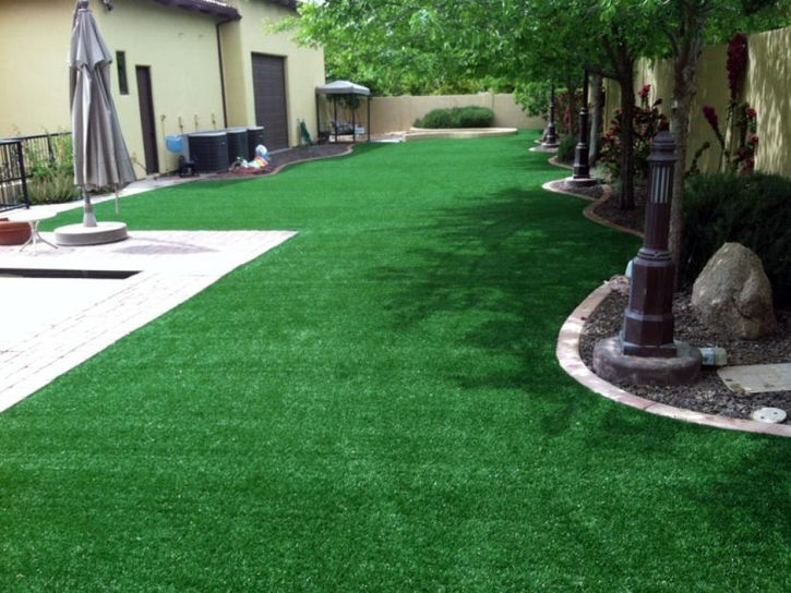 Synthetic Turf Quail Valley, California Design Ideas, Small Backyard Ideas