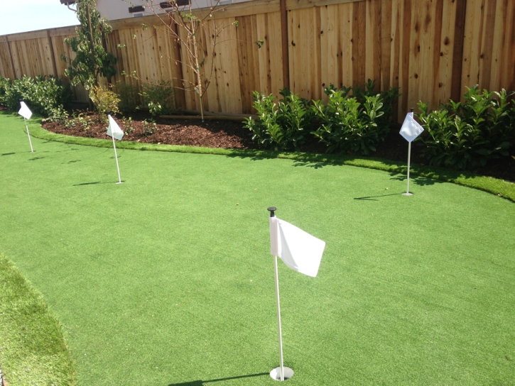 Synthetic Turf Rancho Mirage, California Putting Green Turf, Backyard Ideas